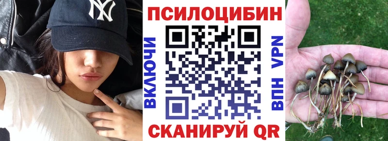 Галлюциногенные грибы Psilocybine cubensis  Славянск-на-Кубани 