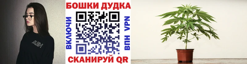 Бошки Шишки OG Kush хочу Славянск-на-Кубани