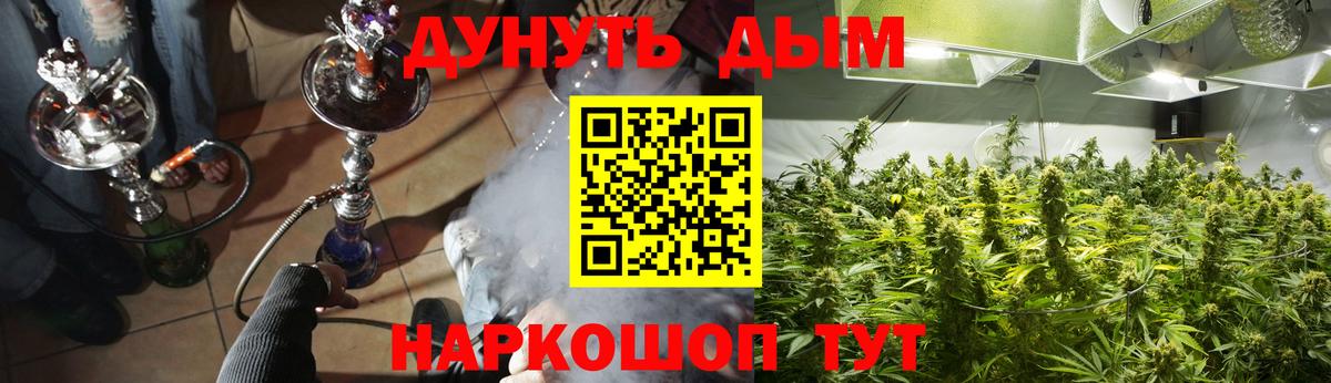 Конопля Amnesia  Бошки Шишки конопля  Славянск-на-Кубани  Марихуана план  Вход с VPN 